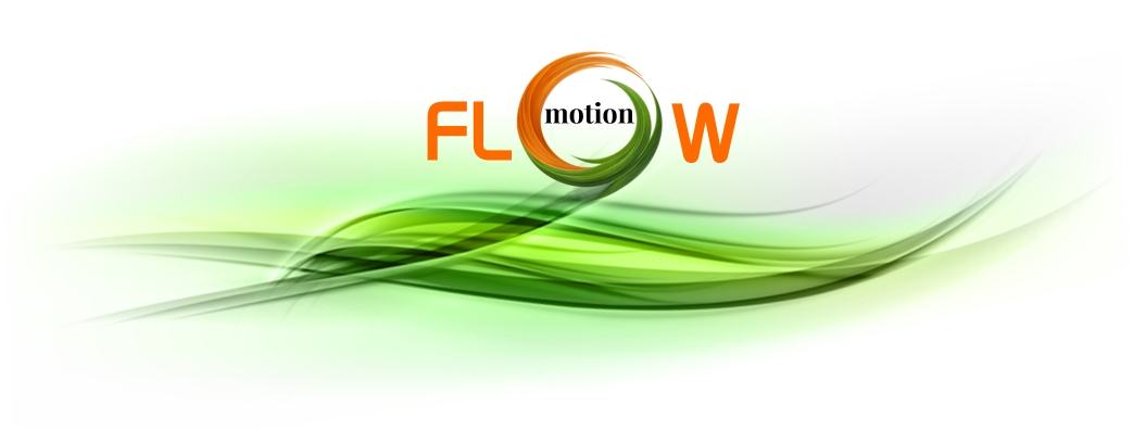 Flow Motion